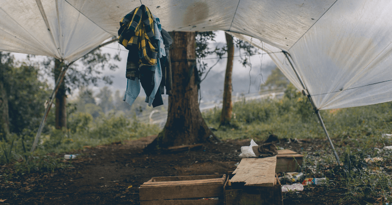 (Photo by Toby Wong / Unsplash)
