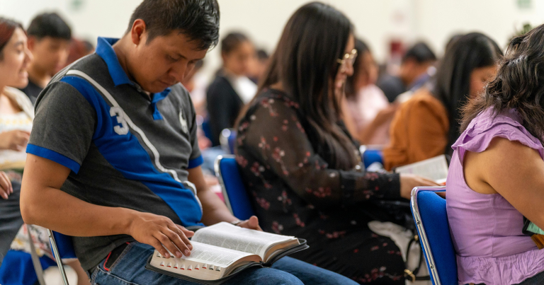 (Photo by Israel Torres / Pexels)