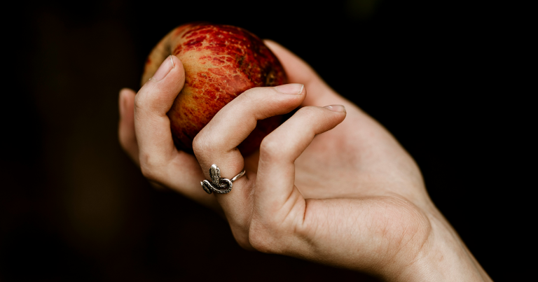 (Photo by Andy Bodemer / Unsplash)